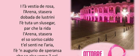 “L’Arena in rosa” di Elvira Venturini Zoccatelli